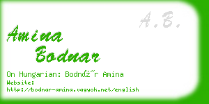 amina bodnar business card